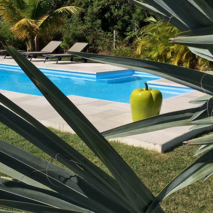 Gite Les Jardins D'Enoha Anse-Bertrand Kültér fotó